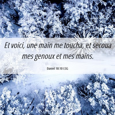 Picture 06 - Daniel 10:10 LSG - Et voici, une main me toucha, et secoua mes - Bible Verse Picture
