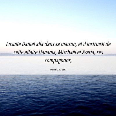Picture 06 - Daniel 2:17 LSG - Ensuite Daniel alla dans sa maison, et il - Bible Verse Picture