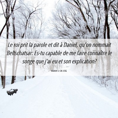 Picture 06 - Daniel 2:26 LSG - Le roi prit la parole et dit à Daniel, qu'on - Bible Verse Picture
