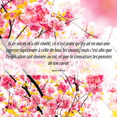 Picture 06 - Daniel 2:30 LSG - Si ce secret m'a été révélé, ce n'est point - Bible Verse Picture