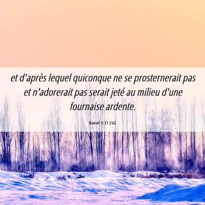 Picture 06 - Daniel 3:11 LSG - et d'après lequel quiconque ne se prosternerait - Bible Verse Picture