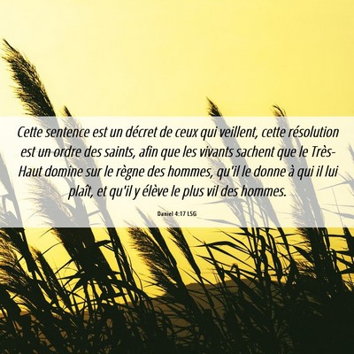 Picture 06 - Daniel 4:17 LSG - Cette sentence est un décret de ceux qui - Bible Verse Picture