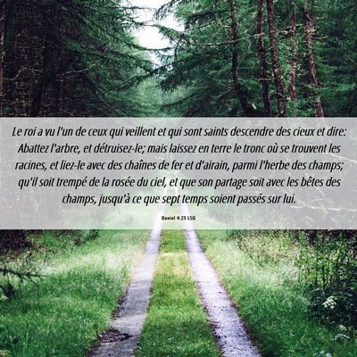 Picture 06 - Daniel 4:23 LSG - Le roi a vu l'un de ceux qui veillent et qui sont - Bible Verse Picture