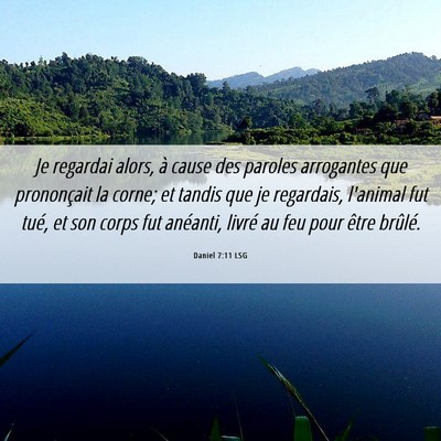 Picture 06 - Daniel 7:11 LSG - Je regardai alors, à cause des paroles - Bible Verse Picture