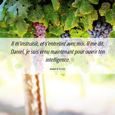 Picture 06 - Daniel 9:22 LSG - Il m'instruisit, et s'entretint avec moi. Il me - Bible Verse Picture