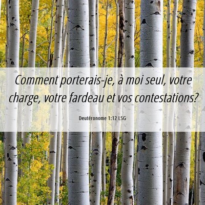 Picture 06 - Deutéronome 1:12 LSG - Comment porterais-je, à moi seul, votre charge, - Bible Verse Picture