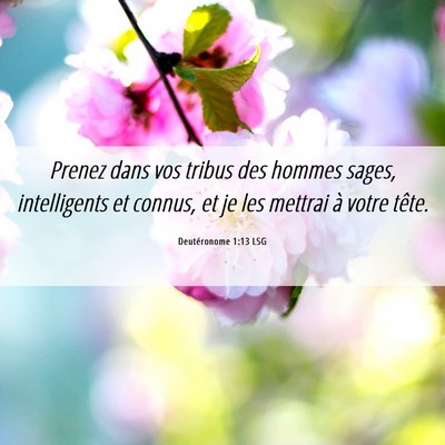 Picture 06 - Deutéronome 1:13 LSG - Prenez dans vos tribus des hommes sages, - Bible Verse Picture