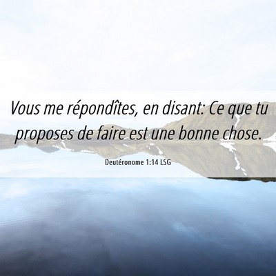 Picture 06 - Deutéronome 1:14 LSG - Vous me répondîtes, en disant: Ce que tu - Bible Verse Picture