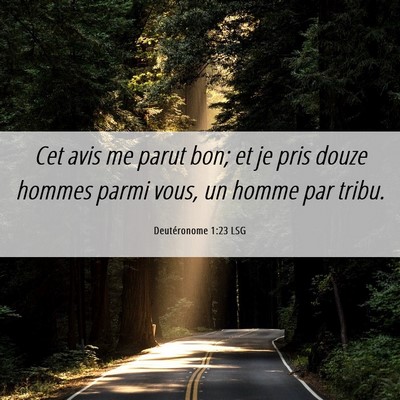 Picture 06 - Deutéronome 1:23 LSG - Cet avis me parut bon; et je pris douze hommes - Bible Verse Picture