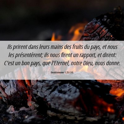 Picture 06 - Deutéronome 1:25 LSG - Ils prirent dans leurs mains des fruits du pays, - Bible Verse Picture