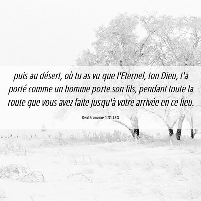 Picture 06 - Deutéronome 1:31 LSG - puis au désert, où tu as vu que l'Eternel, ton - Bible Verse Picture