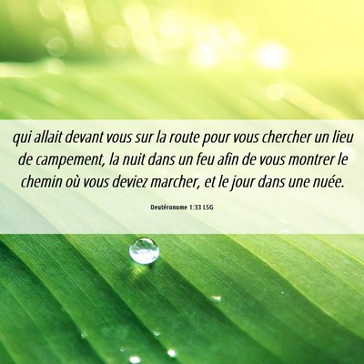 Picture 06 - Deutéronome 1:33 LSG - qui allait devant vous sur la route pour vous - Bible Verse Picture