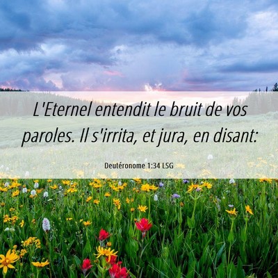Picture 06 - Deutéronome 1:34 LSG - L'Eternel entendit le bruit de vos paroles. Il - Bible Verse Picture