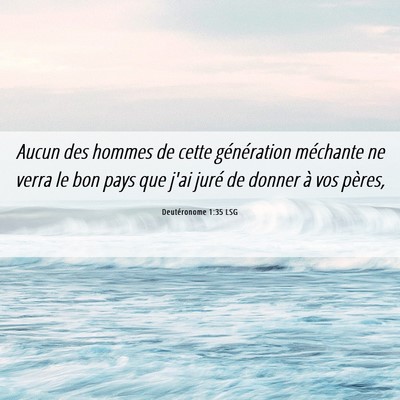 Picture 06 - Deutéronome 1:35 LSG - Aucun des hommes de cette génération méchante - Bible Verse Picture