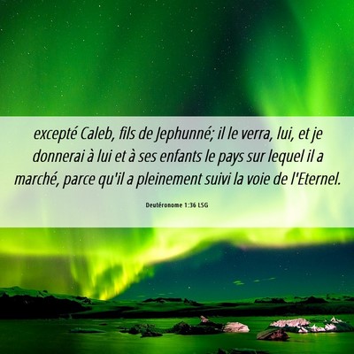 Picture 06 - Deutéronome 1:36 LSG - excepté Caleb, fils de Jephunné; il le verra, - Bible Verse Picture