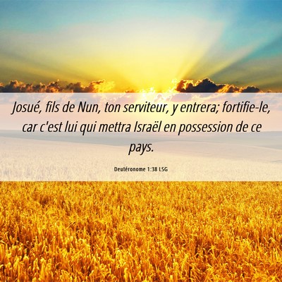 Picture 06 - Deutéronome 1:38 LSG - Josué, fils de Nun, ton serviteur, y entrera; - Bible Verse Picture