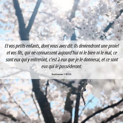 Picture 06 - Deutéronome 1:39 LSG - Et vos petits enfants, dont vous avez dit: Ils - Bible Verse Picture