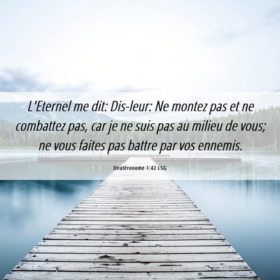 Picture 06 - Deutéronome 1:42 LSG - L'Eternel me dit: Dis-leur: Ne montez pas et ne - Bible Verse Picture
