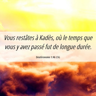 Picture 06 - Deutéronome 1:46 LSG - Vous restâtes à Kadès, où le temps que vous y - Bible Verse Picture