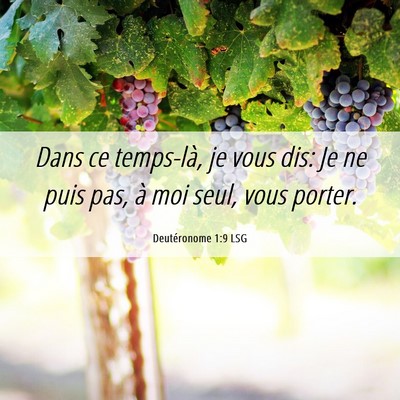 Picture 06 - Deutéronome 1:9 LSG - Dans ce temps-là, je vous dis: Je ne puis pas, - Bible Verse Picture