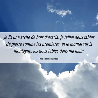 Picture 06 - Deutéronome 10:3 LSG - Je fis une arche de bois d'acacia, je taillai - Bible Verse Picture