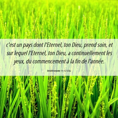 Picture 06 - Deutéronome 11:12 LSG - c'est un pays dont l'Eternel, ton Dieu, prend - Bible Verse Picture