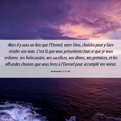 Picture 06 - Deutéronome 12:11 LSG - Alors il y aura un lieu que l'Eternel, votre - Bible Verse Picture