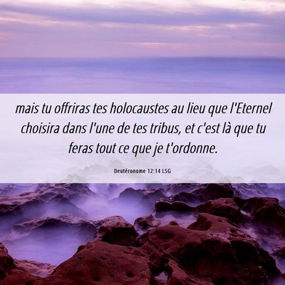 Picture 06 - Deutéronome 12:14 LSG - mais tu offriras tes holocaustes au lieu que - Bible Verse Picture