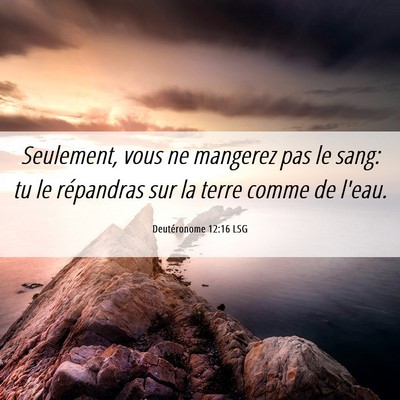 Picture 06 - Deutéronome 12:16 LSG - Seulement, vous ne mangerez pas le sang: tu le - Bible Verse Picture