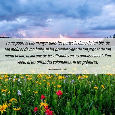 Picture 06 - Deutéronome 12:17 LSG - Tu ne pourras pas manger dans tes portes la dîme - Bible Verse Picture