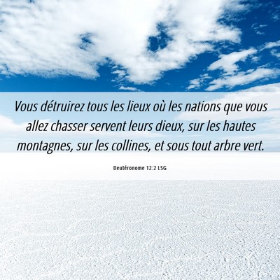 Picture 06 - Deutéronome 12:2 LSG - Vous détruirez tous les lieux où les nations - Bible Verse Picture
