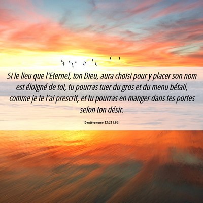 Picture 06 - Deutéronome 12:21 LSG - Si le lieu que l'Eternel, ton Dieu, aura choisi - Bible Verse Picture