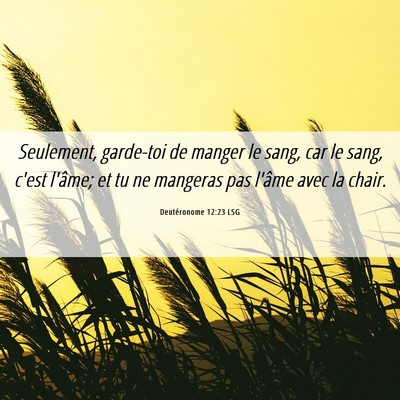 Picture 06 - Deutéronome 12:23 LSG - Seulement, garde-toi de manger le sang, car le - Bible Verse Picture