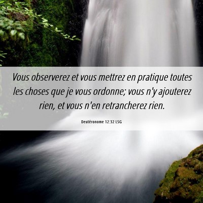 Picture 06 - Deutéronome 12:32 LSG - Vous observerez et vous mettrez en pratique - Bible Verse Picture