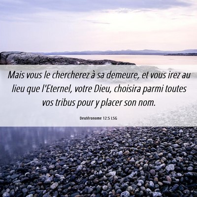 Picture 06 - Deutéronome 12:5 LSG - Mais vous le chercherez à sa demeure, et vous - Bible Verse Picture