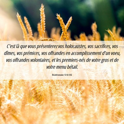 Picture 06 - Deutéronome 12:6 LSG - C'est là que vous présenterez vos holocaustes, - Bible Verse Picture