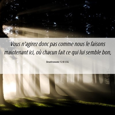 Picture 06 - Deutéronome 12:8 LSG - Vous n'agirez donc pas comme nous le faisons - Bible Verse Picture