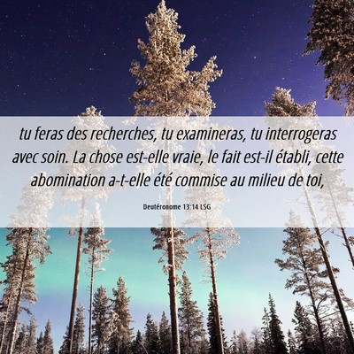 Picture 06 - Deutéronome 13:14 LSG - tu feras des recherches, tu examineras, tu - Bible Verse Picture