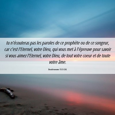 Picture 06 - Deutéronome 13:3 LSG - tu n'écouteras pas les paroles de ce prophète - Bible Verse Picture