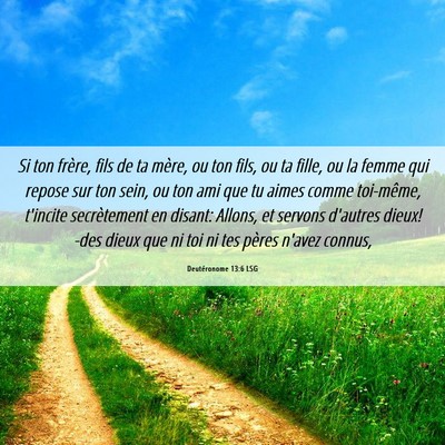 Picture 06 - Deutéronome 13:6 LSG - Si ton frère, fils de ta mère, ou ton fils, ou - Bible Verse Picture
