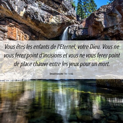 Picture 06 - Deutéronome 14:1 LSG - Vous êtes les enfants de l'Eternel, votre Dieu. - Bible Verse Picture