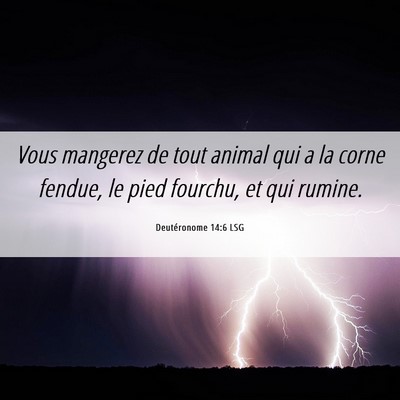 Picture 06 - Deutéronome 14:6 LSG - Vous mangerez de tout animal qui a la corne - Bible Verse Picture