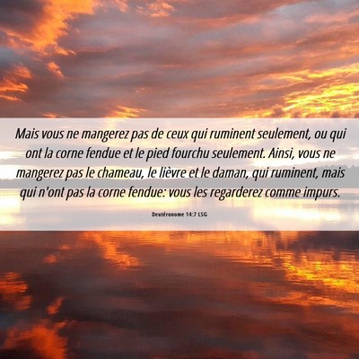 Picture 06 - Deutéronome 14:7 LSG - Mais vous ne mangerez pas de ceux qui ruminent - Bible Verse Picture