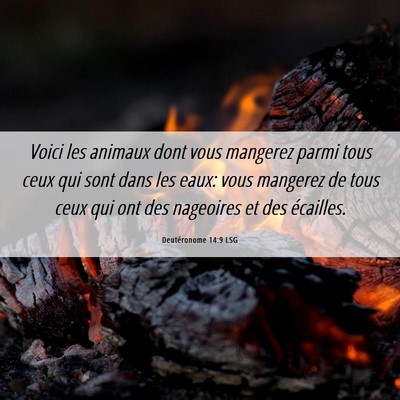 Picture 06 - Deutéronome 14:9 LSG - Voici les animaux dont vous mangerez parmi tous - Bible Verse Picture