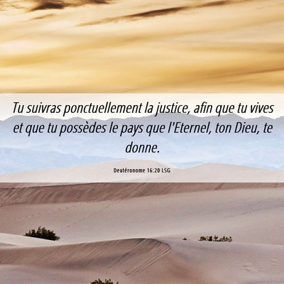 Picture 06 - Deutéronome 16:20 LSG - Tu suivras ponctuellement la justice, afin que tu - Bible Verse Picture