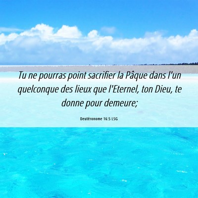 Picture 06 - Deutéronome 16:5 LSG - Tu ne pourras point sacrifier la Pâque dans l'un - Bible Verse Picture