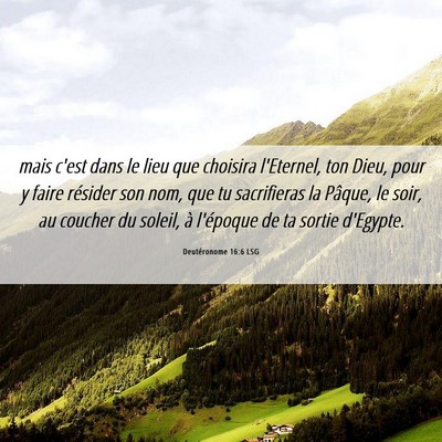 Picture 06 - Deutéronome 16:6 LSG - mais c'est dans le lieu que choisira l'Eternel, - Bible Verse Picture
