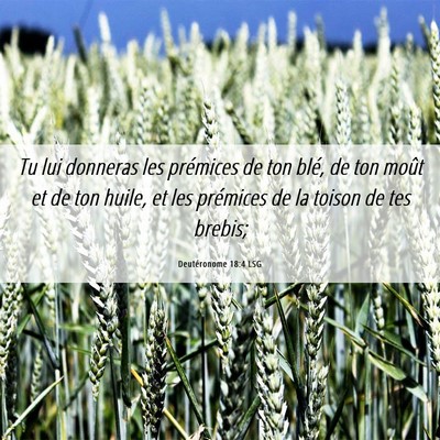 Picture 06 - Deutéronome 18:4 LSG - Tu lui donneras les prémices de ton blé, de ton - Bible Verse Picture