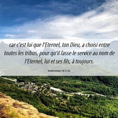 Picture 06 - Deutéronome 18:5 LSG - car c'est lui que l'Eternel, ton Dieu, a choisi - Bible Verse Picture