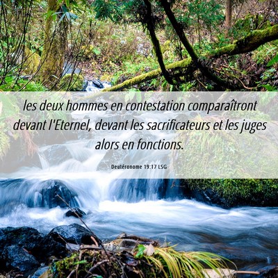 Picture 06 - Deutéronome 19:17 LSG - les deux hommes en contestation comparaîtront - Bible Verse Picture